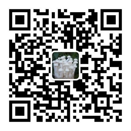 福建龙海市九湖食用菌研究所