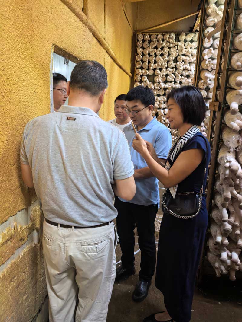 微信图片_20260531224707_697_2299.jpg