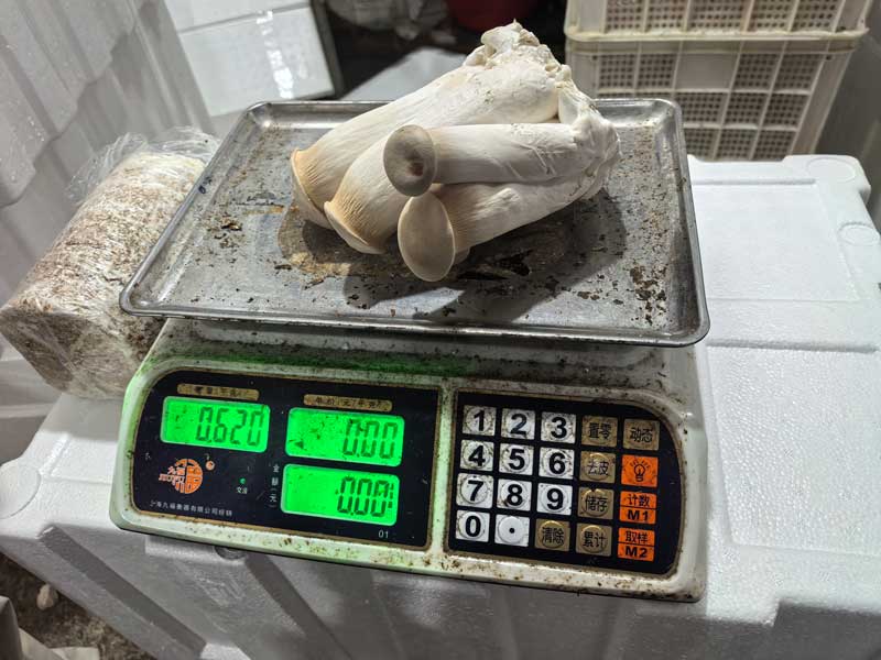 微信图片_20260531224943_703_2299.jpg